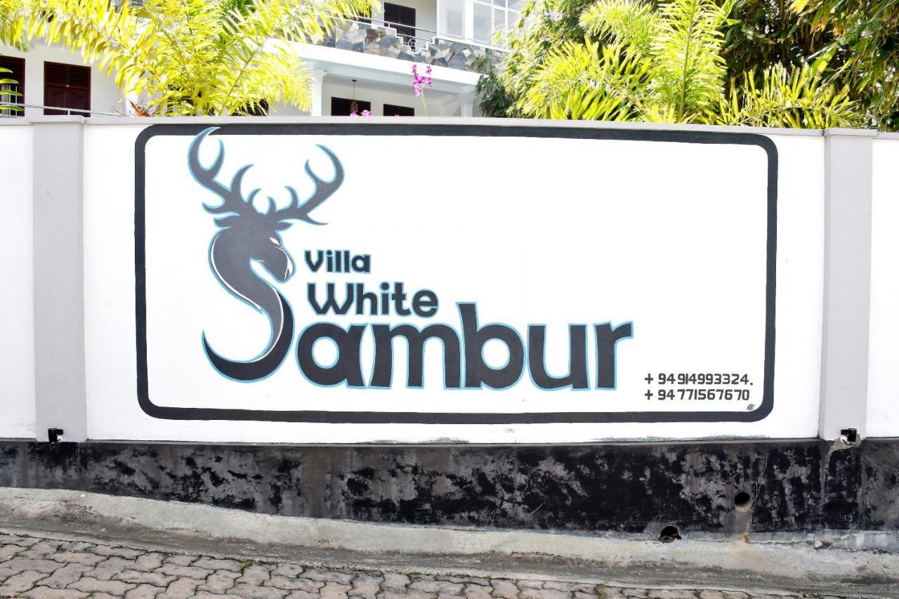 Villa De White Sambur 希克杜沃 外观 照片