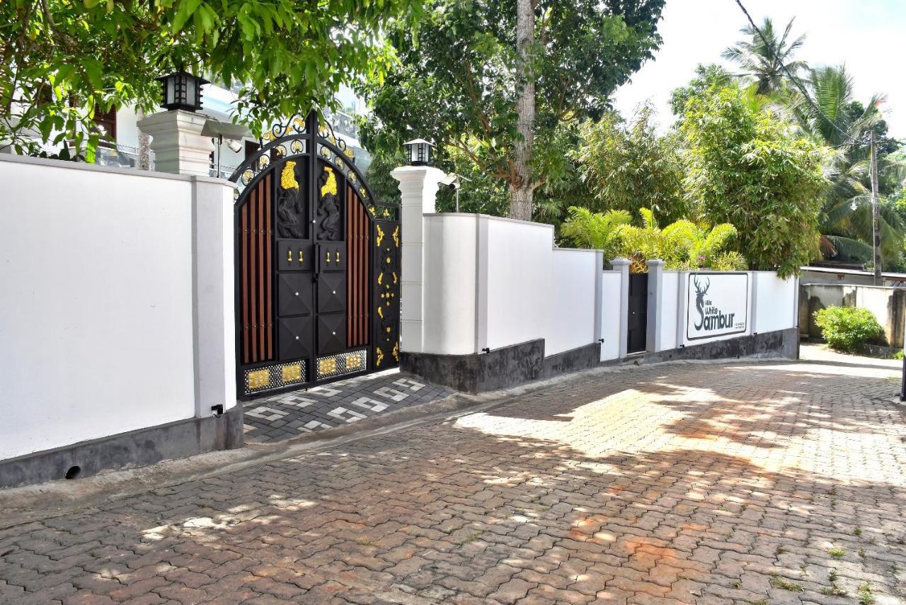 Villa De White Sambur 希克杜沃 外观 照片