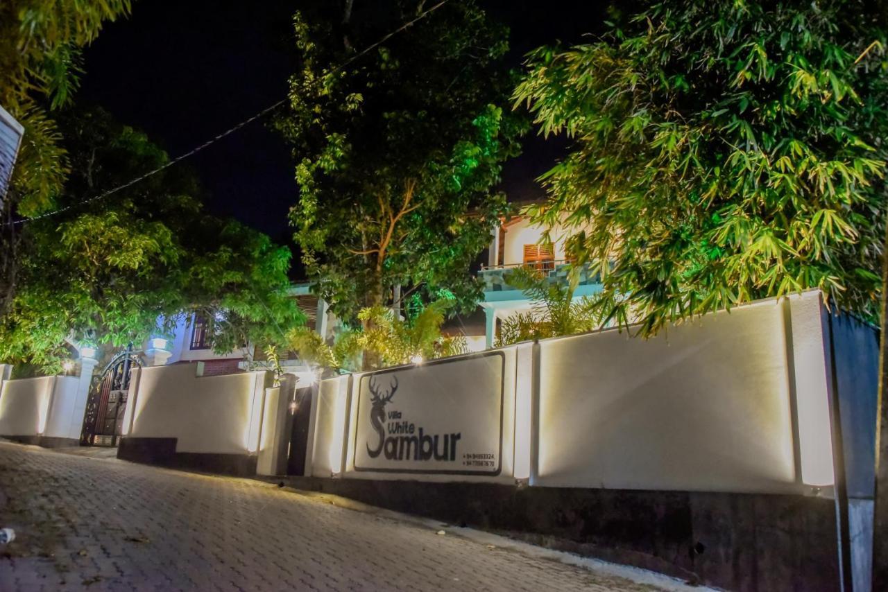 Villa De White Sambur 希克杜沃 外观 照片